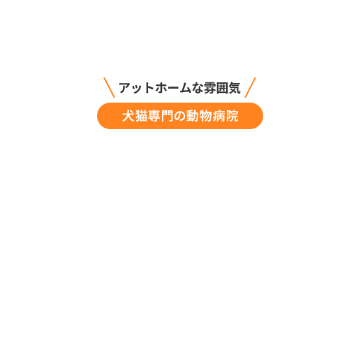 経験豊富なスタッフが大切なペットの健康をサポートいたします。