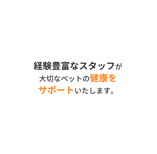 ひまわり動物病院